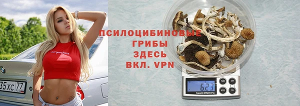 PSILOCYBIN Белоозёрский
