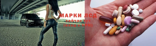 ГАЛЛЮЦИНОГЕННЫЕ ГРИБЫ Пересвет