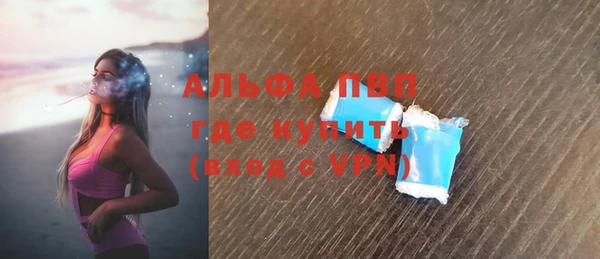 сатива Беломорск