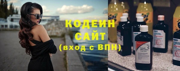 сатива Беломорск