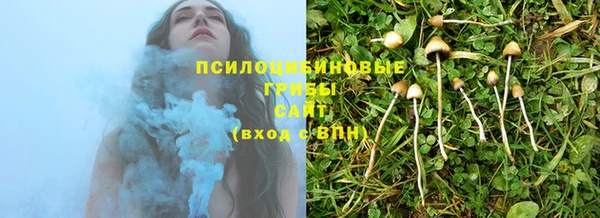 гашиш Белокуриха