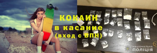 ГАЛЛЮЦИНОГЕННЫЕ ГРИБЫ Пересвет