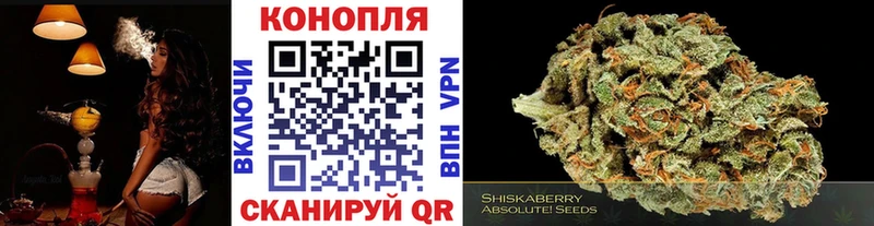 даркнет формула  Черняховск  Бошки марихуана THC 21% 